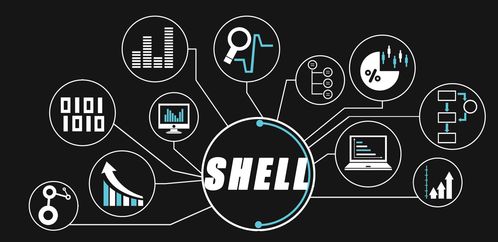 大數(shù)據(jù)開發(fā)工程師的進階之路 精通Shell特殊符號與高效技術服務
